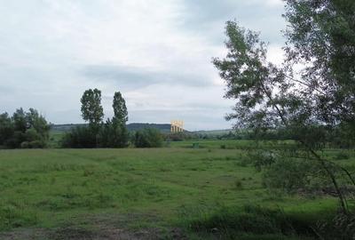 Teren 3953 mp Falticeni Tarna Mare De 0727817187 - 9