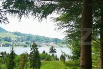 Teren de 1120 mp, în Colibița - 8