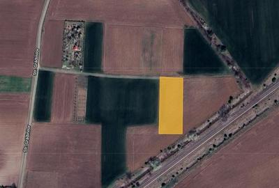 Teren Construcții intravilan de 1500 mp, în Căciulați - 3