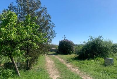 FERMĂ - LA DN3 - 10.680 MP/84 M DESCHIDERE - UTILITĂȚI - 23