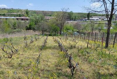 Teren de 3250 mp, în Central - 3