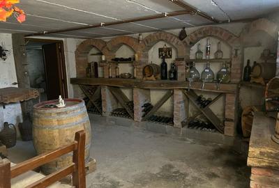 Ocazie unică! Casă de vânzare în stațiunea Covasna! - 23