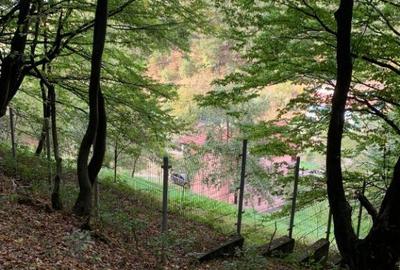 Vila Vetel zona Valea Caoi - 15