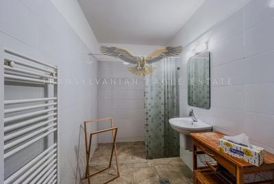 Garsonieră decomandată în Semicentral - 7