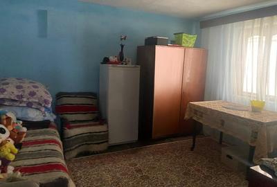 Casa traditionala cu teren generos la tara - Gorj, Șomanesti - 15