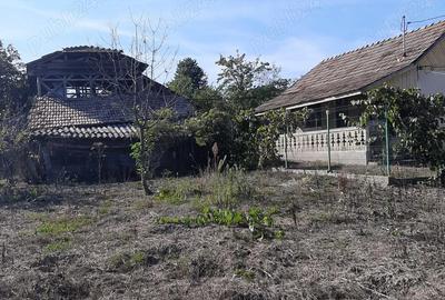 Gospodarie de vanzare, Lapu?ata Valcea - 3