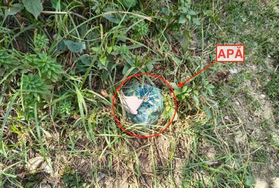 Teren de 2016 mp, în Costești - 8