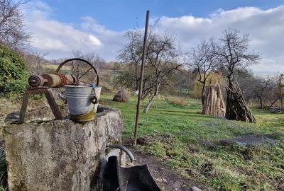 RECO Teren intravilan in Borod, Bihor 1750mp - 3