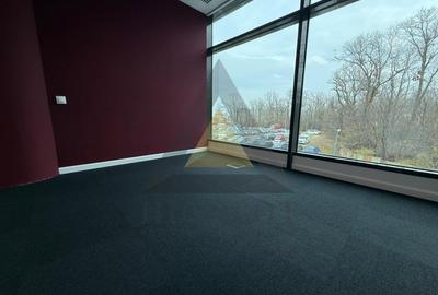 BUCURESTI NORD / SPATIU BIROURI COMPLET FINISAT 177 MP / MUTARE IMEDIATA - 7