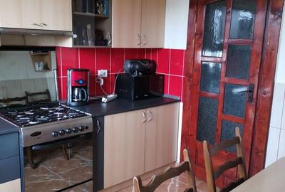 Apartament cu 3 camere decomandat, mobilat în Central - 19