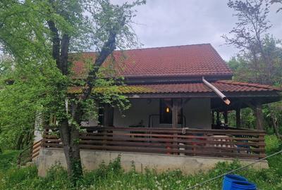 Casă cu 4 camere cu Teren 6000 Mp în Bezdead - 17