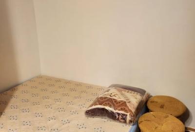 Garsoniera berceni-soseaua oltenitei - 3