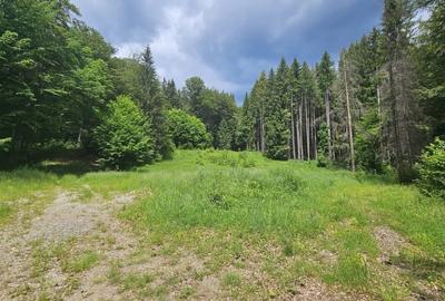 REL4001144 Teren de vanzare in Valea Doftanei - 6