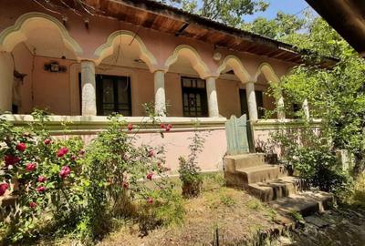 Casă cu 2 camere în Cleanov - 3