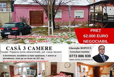 Casa 3 camere teren in Pojejena, jud. Caras Severin - 3