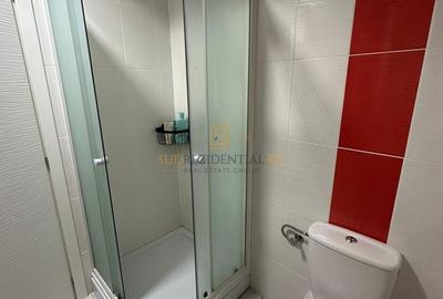 Apartament cu 3 camere semidecomandat, mobilat în Theodor Pallady - 9