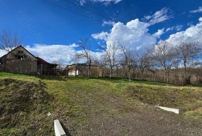 Herneacova-Casa si Teren-Livada- 2876 mp- Front 37m - 6