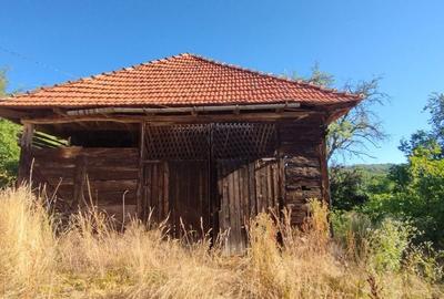 Casă cu 3 camere în Târnăvița - 5