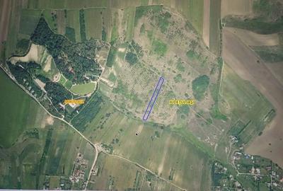 Teren extravilan de 5000 mp, în Miroslava