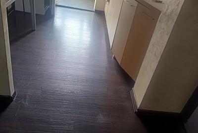 Apartament cu 2 camere decomandat în Pietroasa - 2