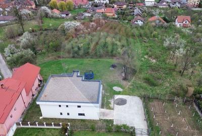 Vila cu piscina 15 ari si panorama de vanzare str. Grigore Ureche