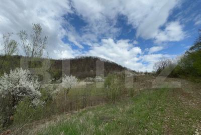 Vand 17 ha teren extravilan, Carmazanesti - 2