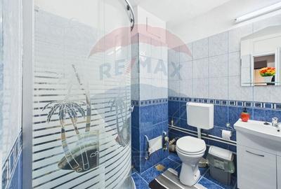 Apartament cu 4 camere semidecomandat în Rahova - 8