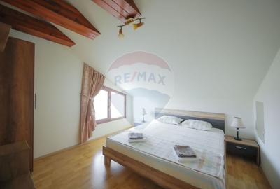 Hotel/Pensiune, de 438 mp, în Nufărul - 39