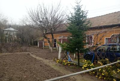 Casă cu 6 camere cu Teren 940 Mp în Păuleasca - 4