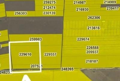 Teren agricol extravilan de 25600 mp, în Abator - 4