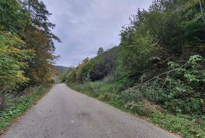 Teren Bran Moieciu zona de pensiuni 10euro mp - 4