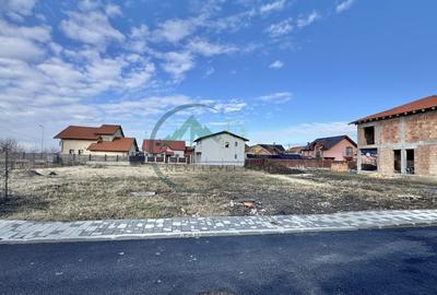 Teren Sanpetru Primaverii toate utilitatile - 1