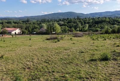 Spațiu comercial, în Vicovu de Sus - 6