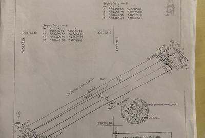 Teren de 15000 mp, în Corbii Mari - 3