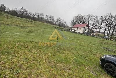 Teren de 11700 mp, în Est - 5