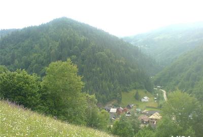 Casă cu 4 camere cu Teren 2000 Mp în Vale - 5