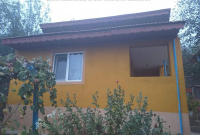 Casa in Motru, Com Slivilesti, Sat Miculesti - 8