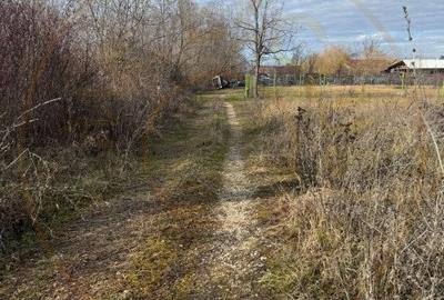 Comision 0 - Teren intravilan Prundu - Bananai - 2939 mp - 1