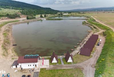 Teren de 2500 mp, în Căiuți - 10