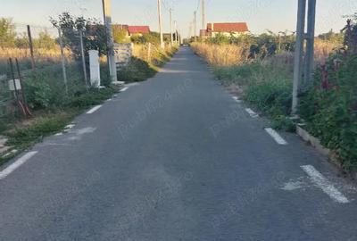 Casă cu 2 camere în Ulmi - 3