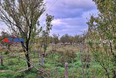 AZURA Imobiliare - Teren Bascov str Paisesti Deal - 10