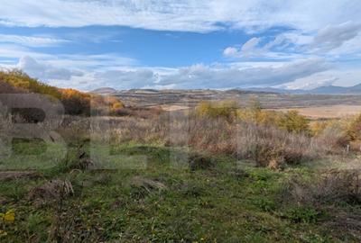 Teren pretabil pentru cabana - 1