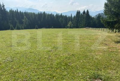 Teren de 20000 mp, în Central - 8