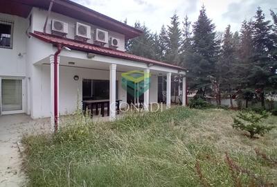 Vila cu 5 camere  P+1 Baneasa Vila cu 5 camere  P+1 Baneasa - 9