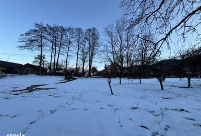 Spațiu comercial, în Bran - 3