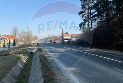 Teren Construcții intravilan de 7968 mp, în Est - 1