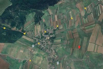 Teren de 10000 mp, în Rogova - 2