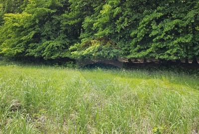 Teren agricol extravilan de 7000 mp, în Ilișești - 31