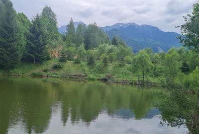 Refugiu idilic cu oglinda de apa,panorama montana,Glajerie/Rasnov,ideal mini res - 22