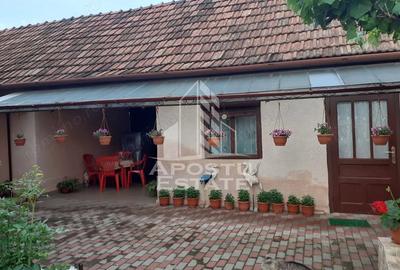 Casă cu 3 camere cu Teren 500 Mp în Făget - 8